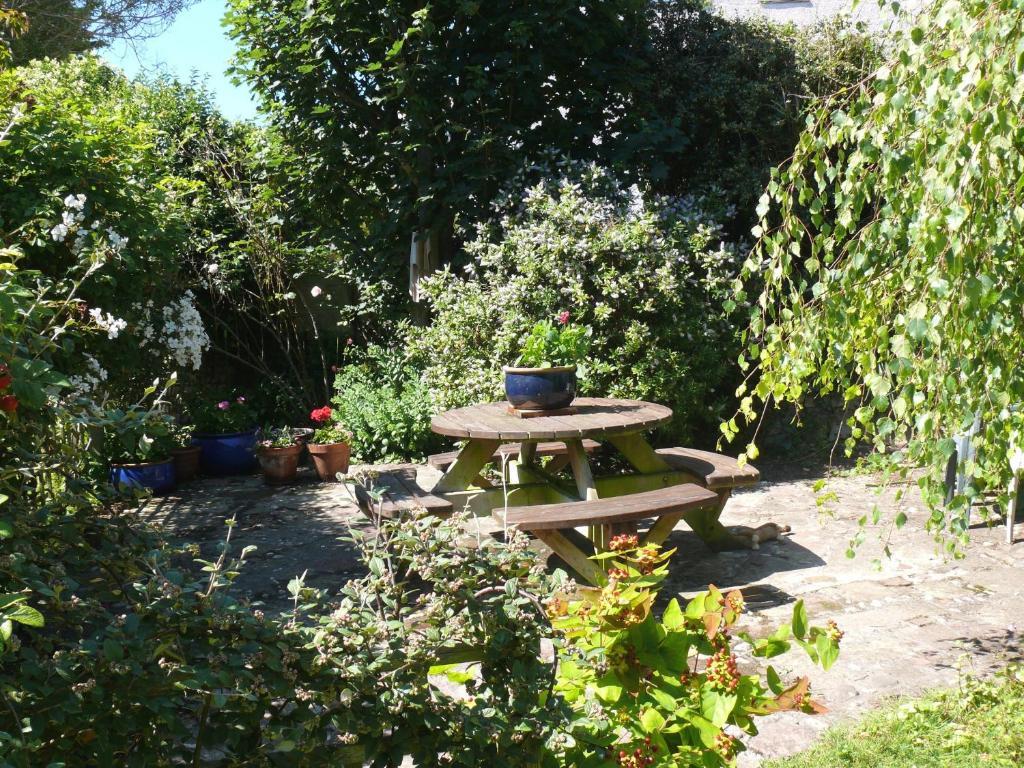 Cormorant House Bed & Breakfast Newquay  Luaran gambar